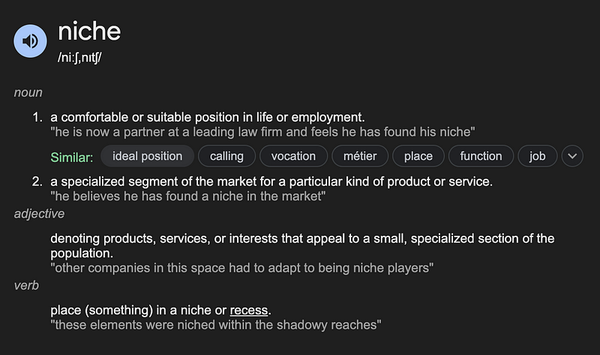 Why Every New Web Design Agency Should Niche Down as Much as Possible